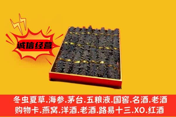 大兴安岭回收海参